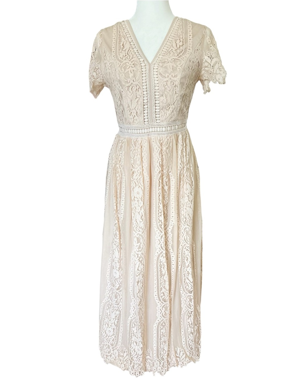 Elegant V-Neck Lace Maxi Dress in Blush - Picture 2 of 10